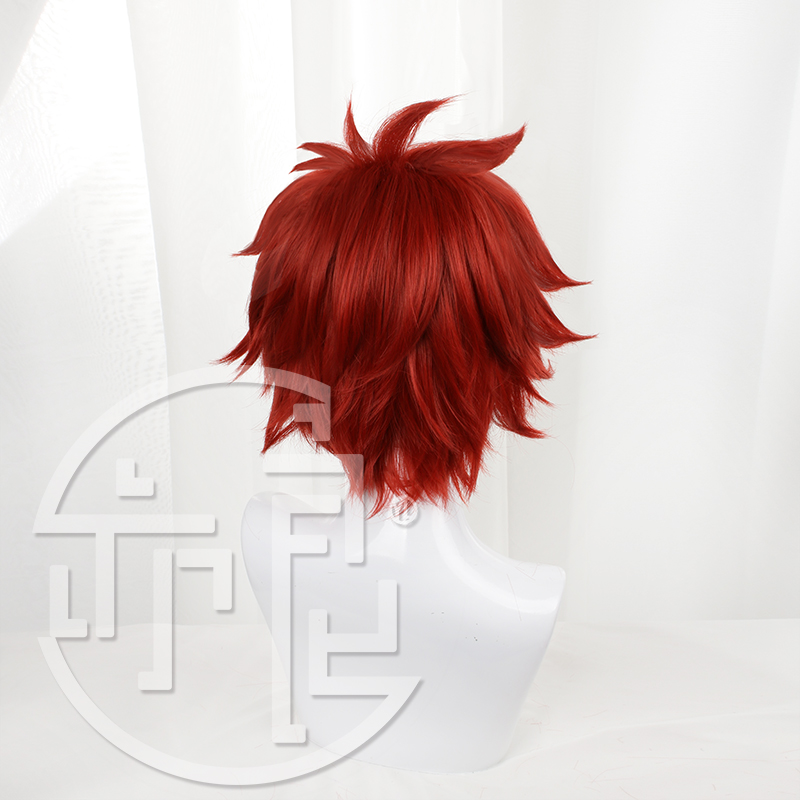 Anime SK8 the Infinity Reki Co – Anime Cosplay Red Hair Bewertung und Preis