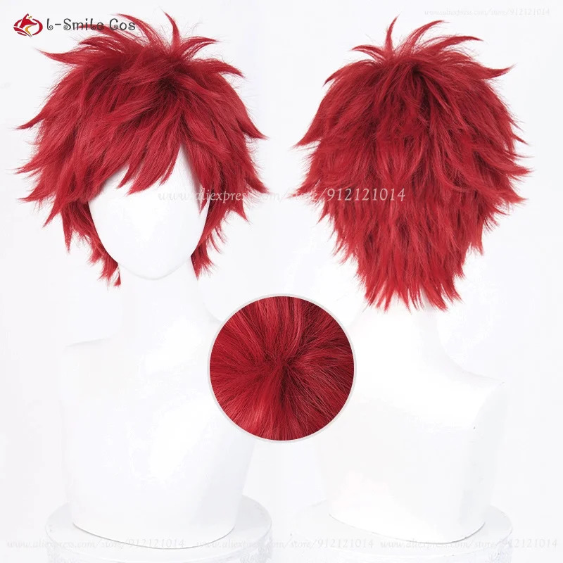 Anime Reinhard Van Astrea Cosp – Anime Cosplay Red Hair Bewertung und Preis