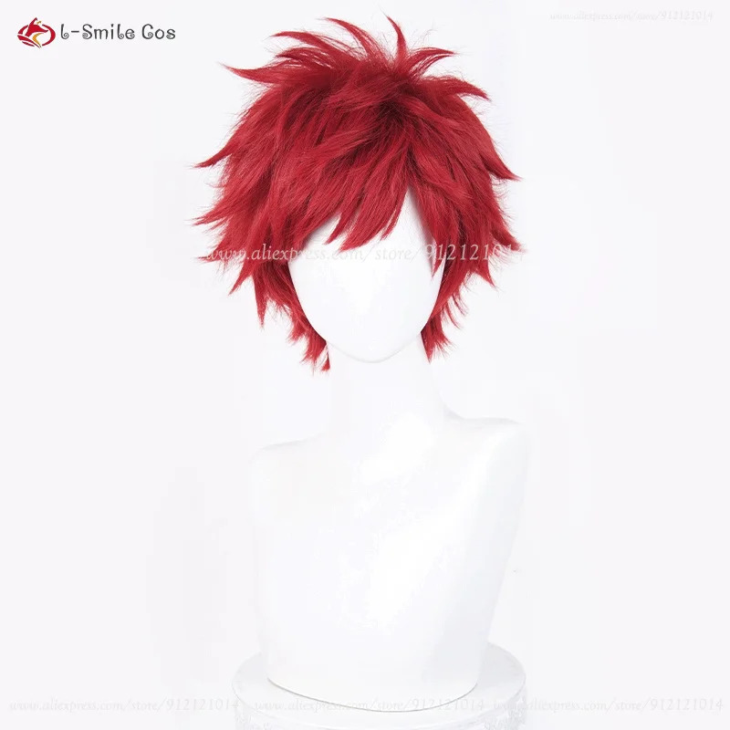 Anime Reinhard Van Astrea Cosp – Anime Cosplay Red Hair Bewertung und Preis