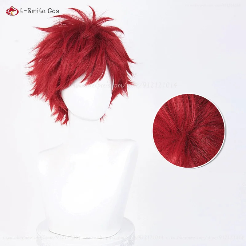 Anime Reinhard Van Astrea Cosp – Anime Cosplay Red Hair Bewertung und Preis